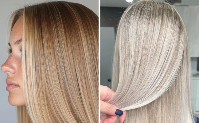 Silver Halo Series - Image 2